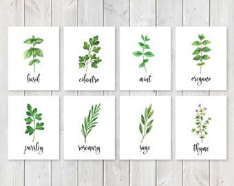 herb garden signs etsy