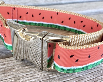 Watermelon 1" Dog Collar, Summer Dog Collar, Watermelon Dog Leash, Dog Collar, Dog Leash