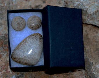 Texas Petrified Palm Wood Cabochons for pendant & earrings