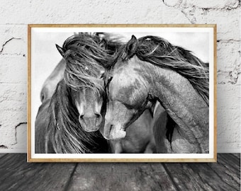 Impression cheval, Photographie noir et blanc, cheval imprimé Wall Art, Wild Horse Photo, impression de désert, , deux chevaux