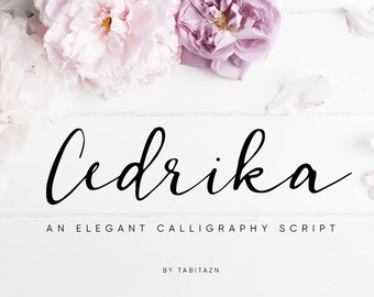 Romantic font, wedding font, Modern calligraphy font, Cursive font, Handwritten font, font download, cute font, digital font