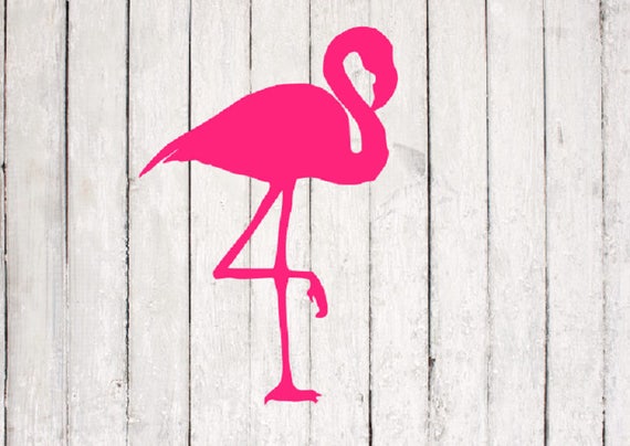 Download flamingo SVG flamingo cut file summer svg Silhouette