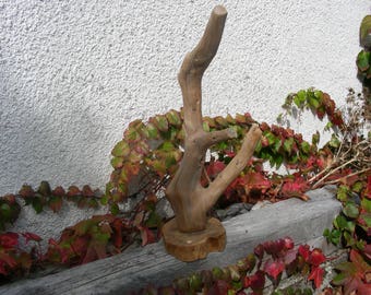 Driftwood oak display