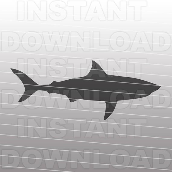 Free Free Great White Shark Svg Free 809 SVG PNG EPS DXF File