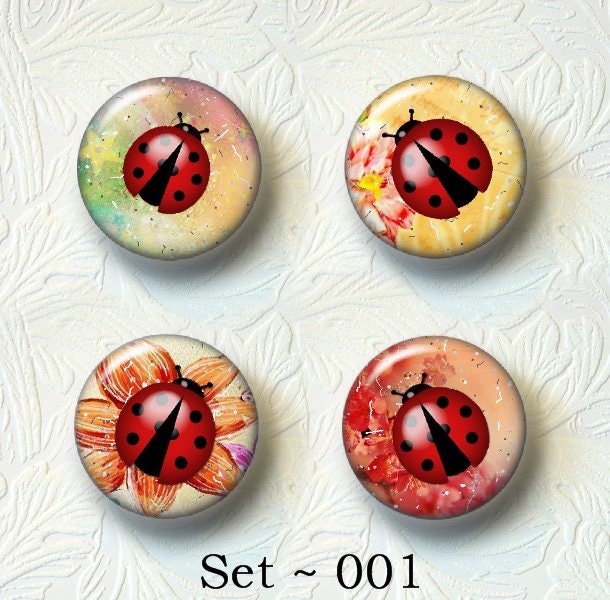 Lady Bug Set Choose your favorite set from the 5