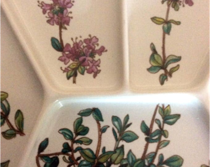 Vintage Villeroy & Boch Botanica Fondue Sushi Plate 9 3/4", Vitreous Porcelain, Thymus, Luxembourg, Germany, Vintage Dish