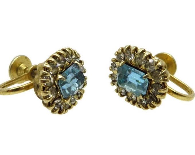 Vargas Rhinestone Earrings - Vintage Blue Rhinestone Screwback Earrings, Gift idea, Gift Box