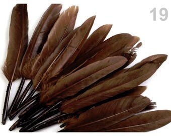 19 - 9-14 cm Brown duck feathers