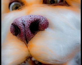 Falkor the neverending story