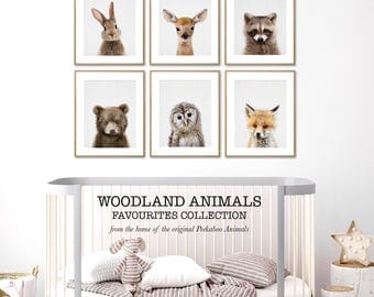Woodland Nursery Print Set, Baby Animal Wall Art, Woodland Decor, Printable Digital Download, Print Set of 6, Six, Nursery Forest Animals