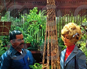 In FRENCH/EN FRANÇAIS: Modèle 70s vintage pour support/jardinière en macramé pdf téléchargeable