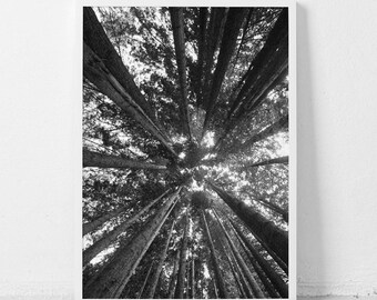 Printable wall art | Etsy