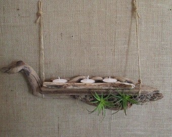 FREE SHIPPING = Driftwood Shelf with Candles - Air Plant Holder - Wall Decoration "Nautical Style"