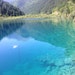naichangj
