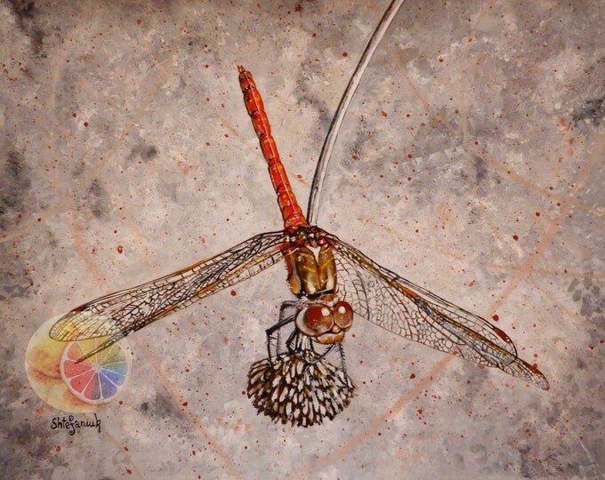 Dragonfly Painting, Dragonfly Art, Dragonfly Wall Decor, 11