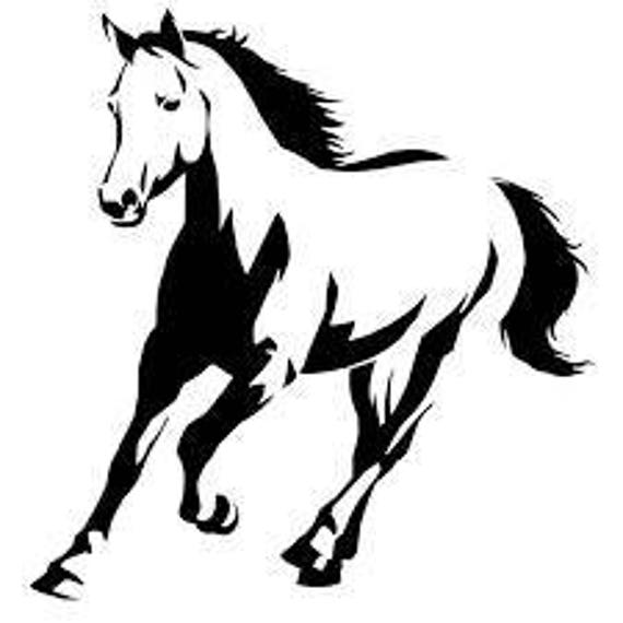 Wild Horse Decal