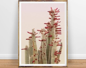 Cactus Wall Art cactus wall art cactus print cactus art desert cactus Cactus Wall Art cactus wall art cactus print cactus art desert cactus