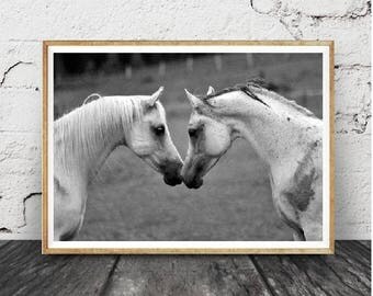 Horse Print, Black and White Photo, Wall Art Photography, Printable Large Poster, Digital Download, Horse, Modern Minimalist