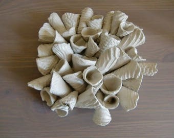 Deco polymer shells