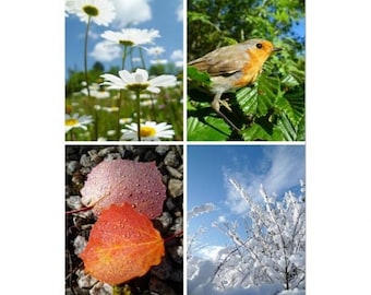 Wall calendar 2017 format A3 white Céline Photos "seasons"