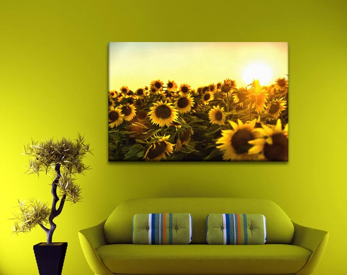 Sunflower canvas print, Вawn in the field, flower art, Wall Art Canvas Print, Interior decor, room decor, print poster, art picture, gift