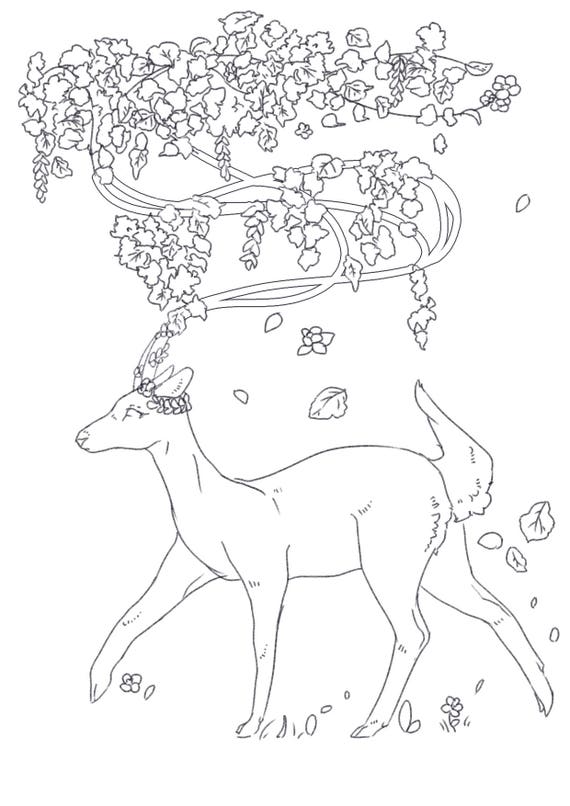 colouring page deer