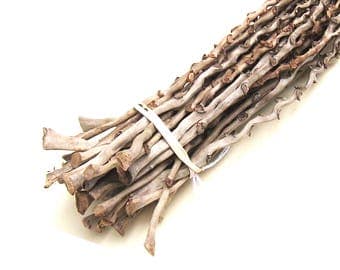 Palm Stalks Palm Inflorescence Gourd Art Basket Weaving Fiber Natural Fiber Floral Design Wreath Nature Craft Coiling Basketry Rustic Supply