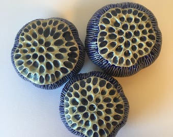 Three Cobalt Blue and Blue-Gold Anemone Bloom Pods Tide Pool Wall Art 4