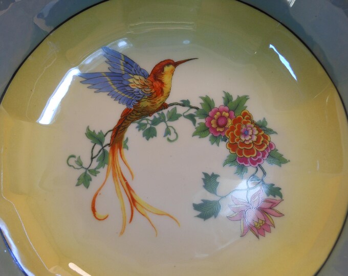 Rudolstadt exotic bird bowl, made in Germany B in crest crown over, red and blue bird on twig with flowers, yellow background, blue border