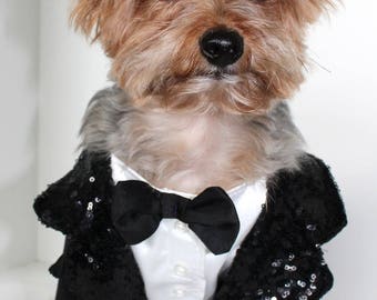 Dog tuxedo | Etsy