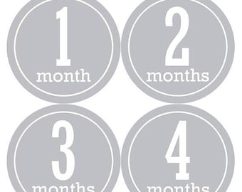 Monthly Baby Stickers Baby Month Stickers Baby Girl or Boy Month Stickers Monthly Photo Stickers Monthly Milestone Stickers 1142