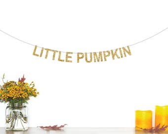 Little Pumpkin Banner, Birthday Party Decorations, Pumpkin Party, Baby Shower Banner, 1st Birthday, Fall Baby Shower, Pumpkin Decorations