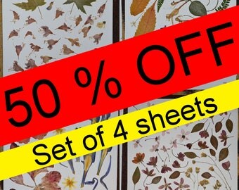 50% OFF - Pressed flowers,pressed leaves,nature craft pressed petals, dried pressed flowers, real pressed flowers. #209 #366 #426 #445