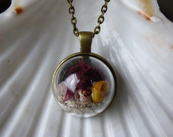 Irish beach terrarium necklace, beach terrarium, seaweed, sand and shells necklace, vintage style necklace