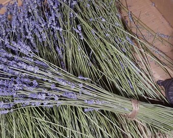 Longstem Dried Lavender Bundles of Hidcote Giant - swag, home decor