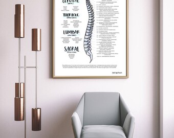 Chiropractic Poster 11x17 | Subluxation | Symptoms | Spine | ANS | Spinal Column | Chiropractor | Hand Lettered | Anatomy
