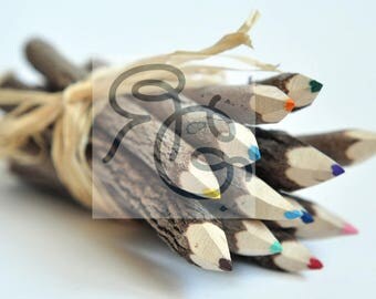 Tree Branch Pencils, Desktop Wallpaper 16X9, Artsy Wallpaper, Nature Wallpaper, HD Wallpaper, Digital Download, Instant Download