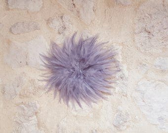 Décoration murale, fait-main, inspiration juju hat, plume, gris perle, cabinet de curiosité, cosy