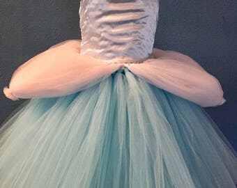 Cinderella tutu dress, Cinderella costume dress, Princess tutu dress