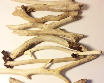 Bundle of Driftwood, 10 Driftwood Pieces, Driftwood Bundle, Beach Wood, Scottish Driftwood, Craft Supply, Wood for crafts