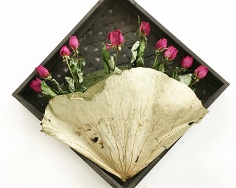 Wall art decoration with dried flowers dried roses
