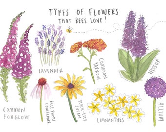 Types of Flowers Greetings Card