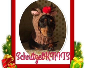Rudolph the red nose reindeer hood/hat..Christmas fancy dress for dogs
