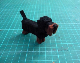 decorative, hard-haired Dachshund dog