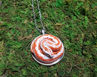 Rosy Boa snake medallion- made to order