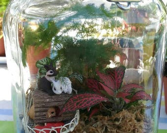 Order special wedding, tropical terrarium in glass jar