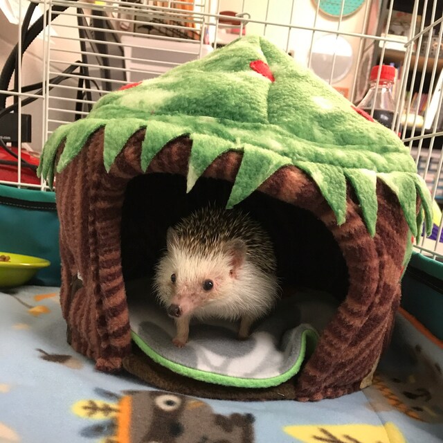 Hedgehog Guinea Pig Tree House Pocket Pet House Fleece Pet