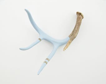 Painted Antler - MEDIUM - Pale Blue Monochromatic - Taxidermy and Curiosities