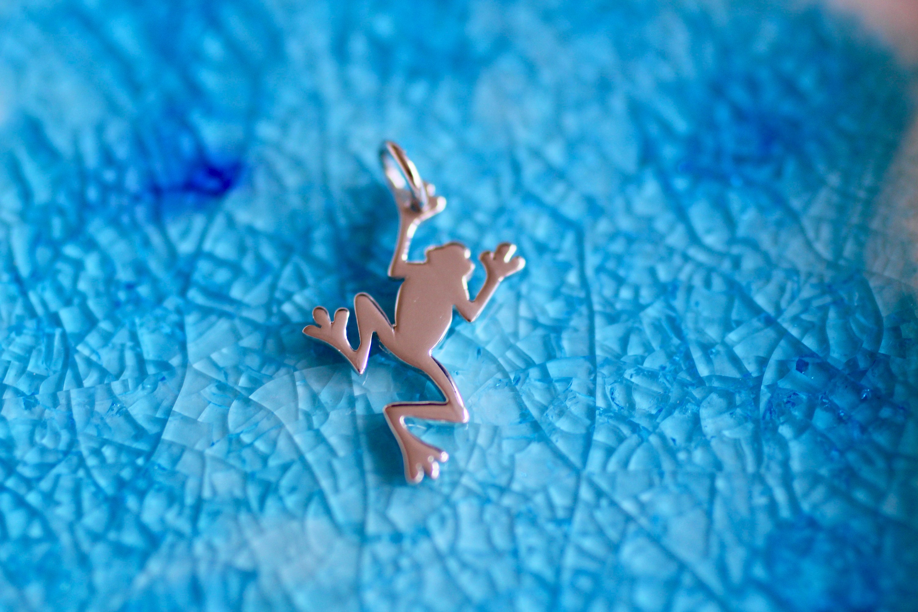 Frog Charm Frog Jewelry Little Frog Animal Charms Sterling