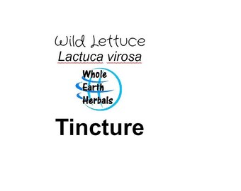 Wild Lettuce Lactuca virosa Opium Lettuce Tincture